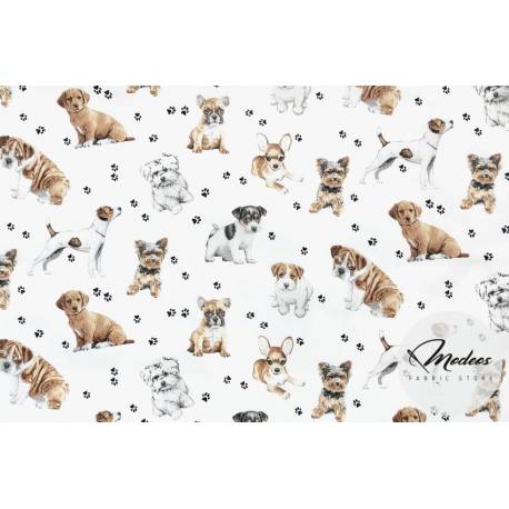 Tkanina psy pieski na białym tle - materiał bawełna