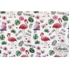 Materiał flamingi papugi na białym tle - tkanina bawełniana