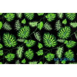 Zielone liście palmy monstera na czarnym - tkanina bawełniana